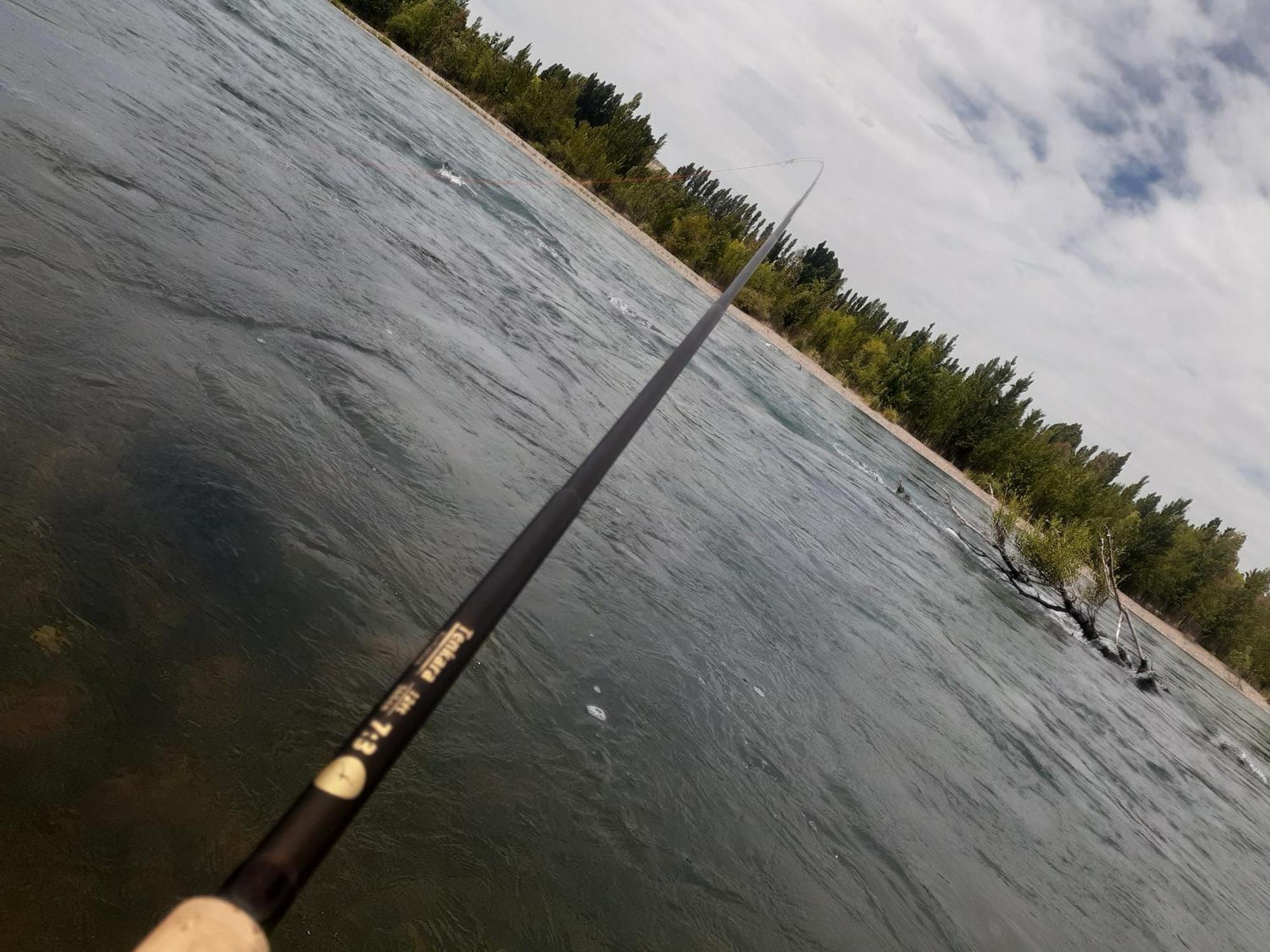 Bardas Del Limay Dormi-Con Hidromasaje - Totalmente Equipado Plottier Buitenkant foto